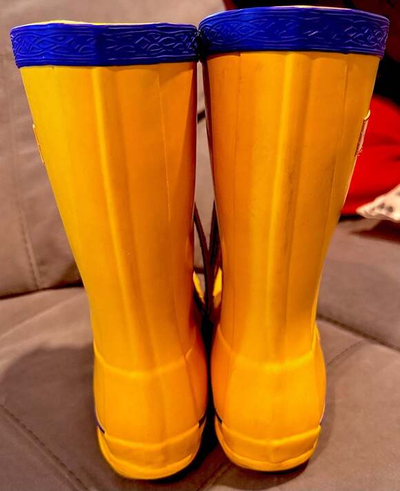 Hunter - Picture 4 of 4